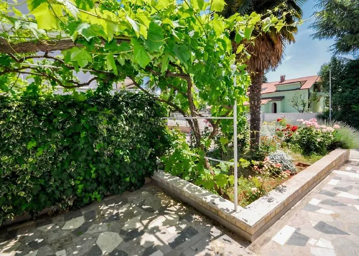 Jutta * Novigrad Istria